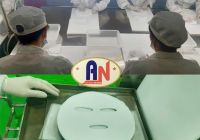 Đặc tính của mặt nạ thạch dừa